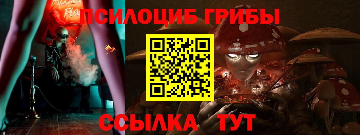 Нарткала  Псилоцибиновые грибы ЛСД  Псилоцибиновые грибы мухоморы  Вход с VPN 